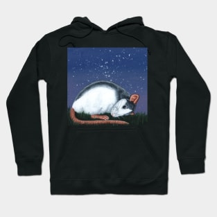 Sleeping Roan Rat Hoodie